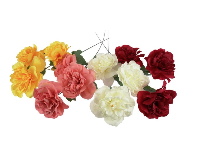 Peonia VC1007 Arpex